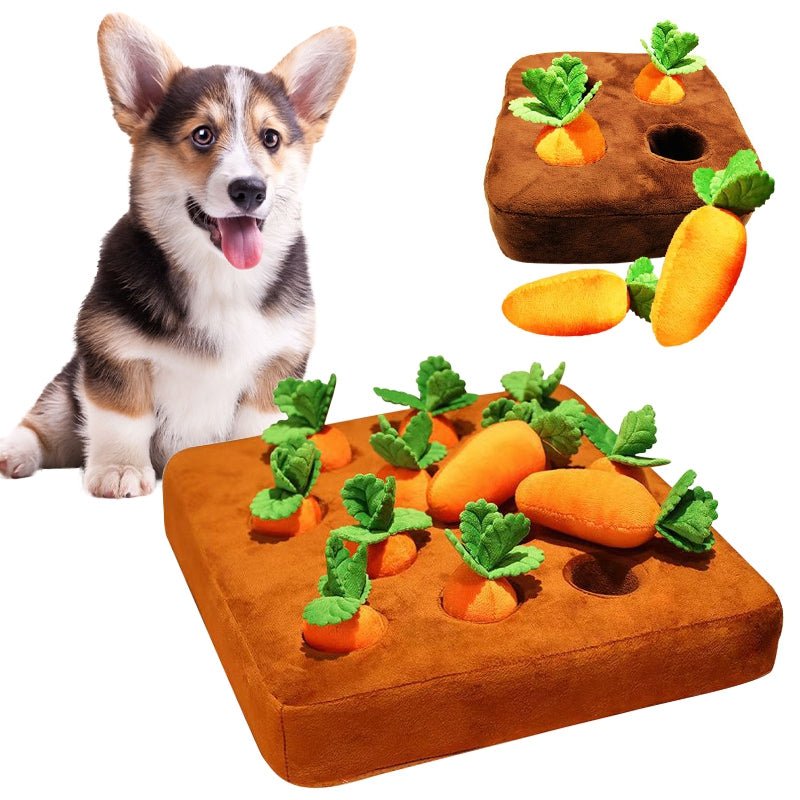 Pet Interactive Carrot Plush - likeinstore