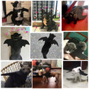 Dog and Cat Bat Wings - likeinstore