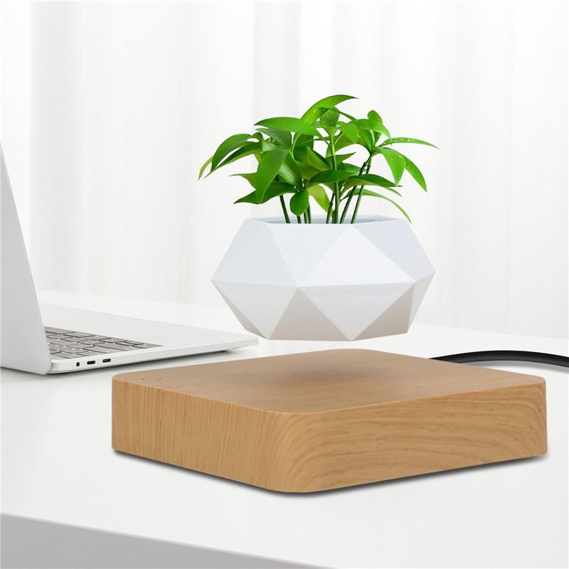 Levitating Air Bonsai Pot - likeinstore