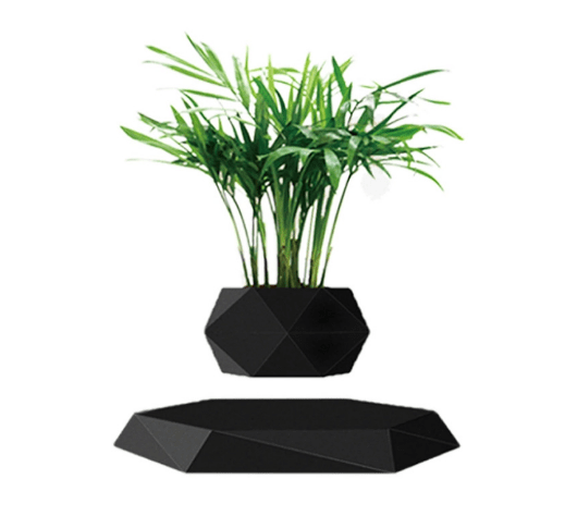Levitating Air Bonsai Pot - likeinstore