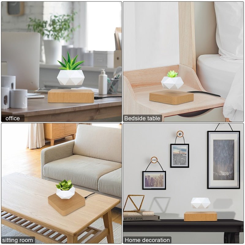 Levitating Air Bonsai Pot - likeinstore