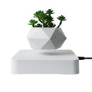 Levitating Air Bonsai Pot - likeinstore