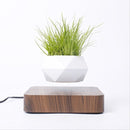 Levitating Air Bonsai Pot - likeinstore