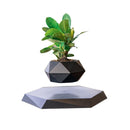 Levitating Air Bonsai Pot - likeinstore