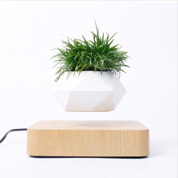 Levitating Air Bonsai Pot - likeinstore