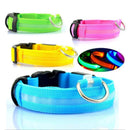 Pet Dog LED Glowing Luminous Night Safety Collar - likeinstore
