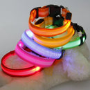 Pet Dog LED Glowing Luminous Night Safety Collar - likeinstore