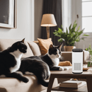 Purr Air - likeinstore