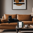 Purr Air - likeinstore