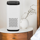 Purr Air - likeinstore