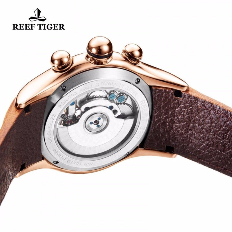 Reef Tigers/RT Sapphire Luminous Stainless Steel Tourbillon Waterproof Automatic Watch RGA703 - likeinstore